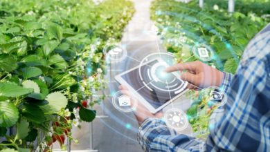 Agricultor utilizando tecnologia em uma estufa