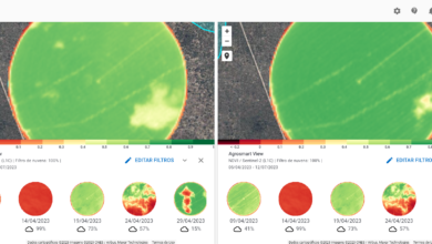 Imagens NDVI BoosterPRO