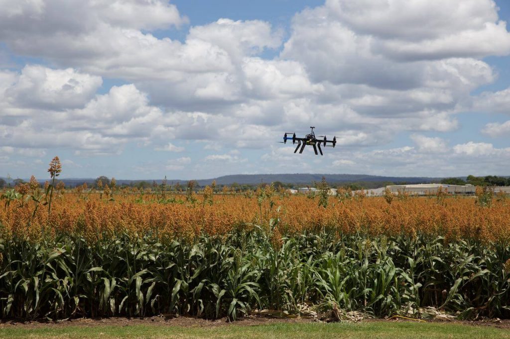 Monitoramento agrícola com drone