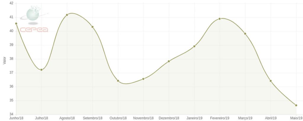 Gráfico com valor de cotação das sacas de milho