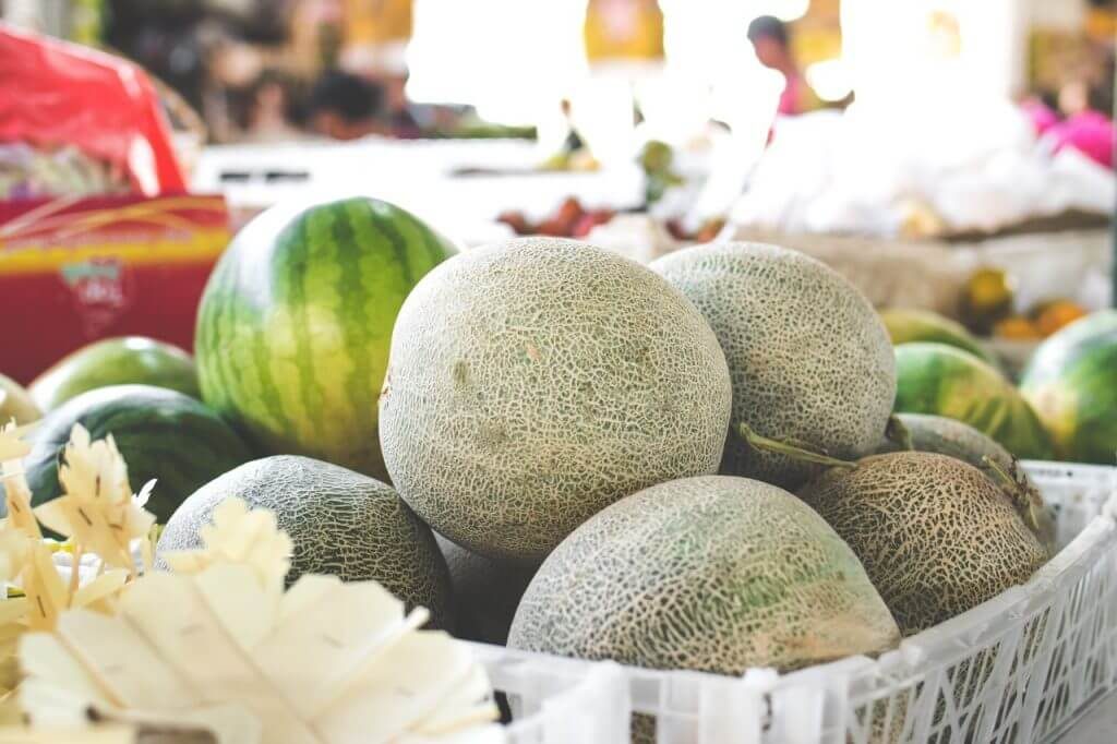 Foto com frutas de alto valor agregado. Produção de melão em cultivo protegido