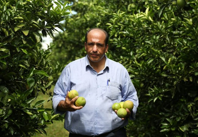 Stocler Andrade - Consultor Agrícola