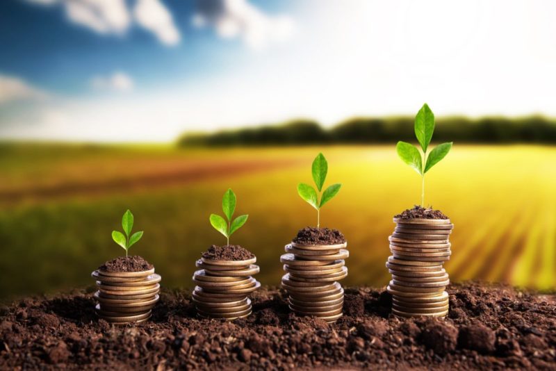 Smart Rural Credit Crédito Rural 2022: 5 Linhas De Crédito Para Sua Fazenda