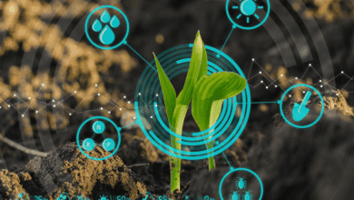 farming as a service