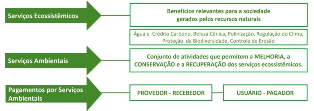 Pagamento por serviços ambientais no Brasil