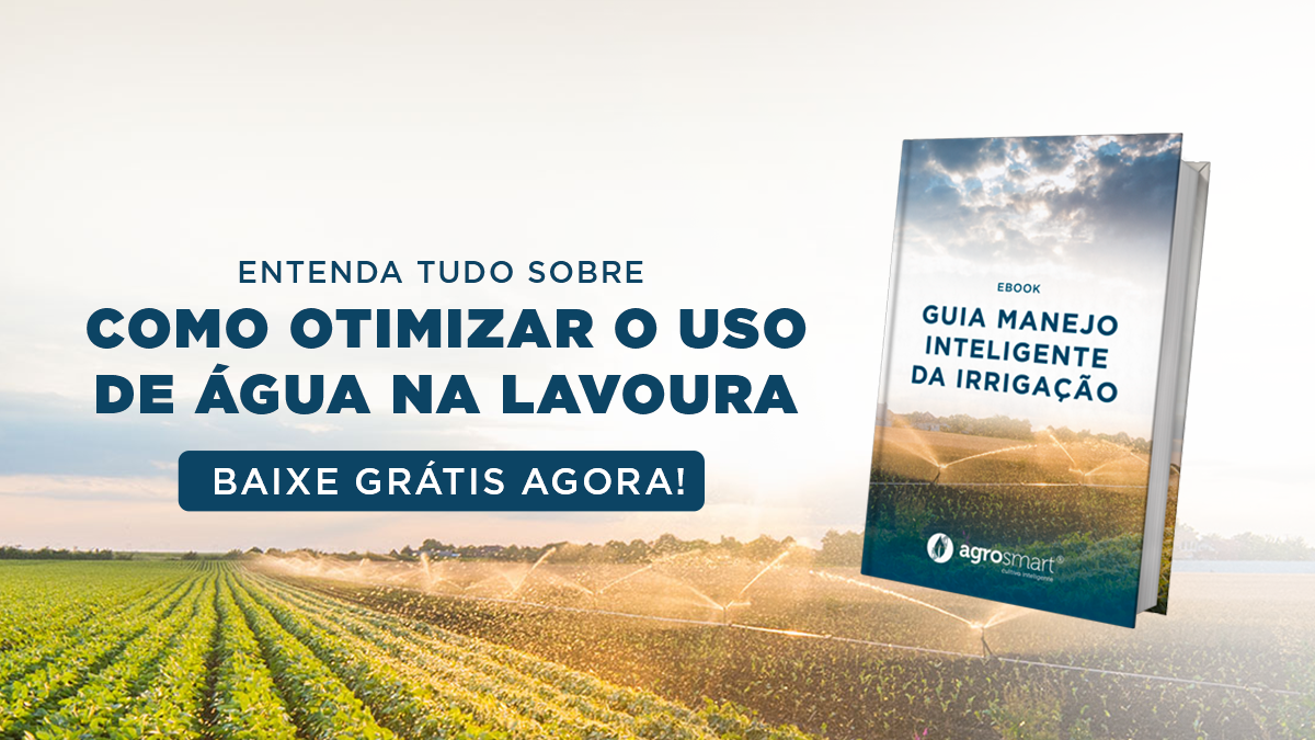 UM AGRICULTOR, BUSCANDO O AUMENTO DA PRODUTIVIDADE DE SUA