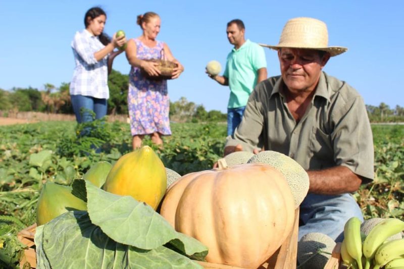 agricultura familiar