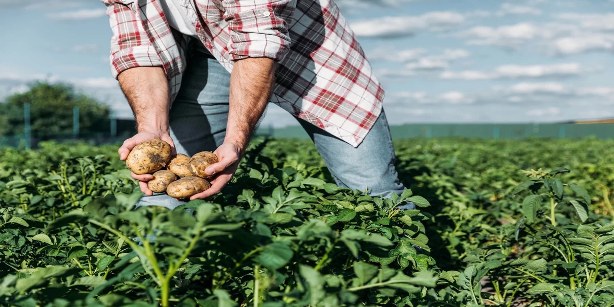 E-Book - Inglês e Agricultura - Grátis