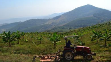 Agricultura Regenerativa