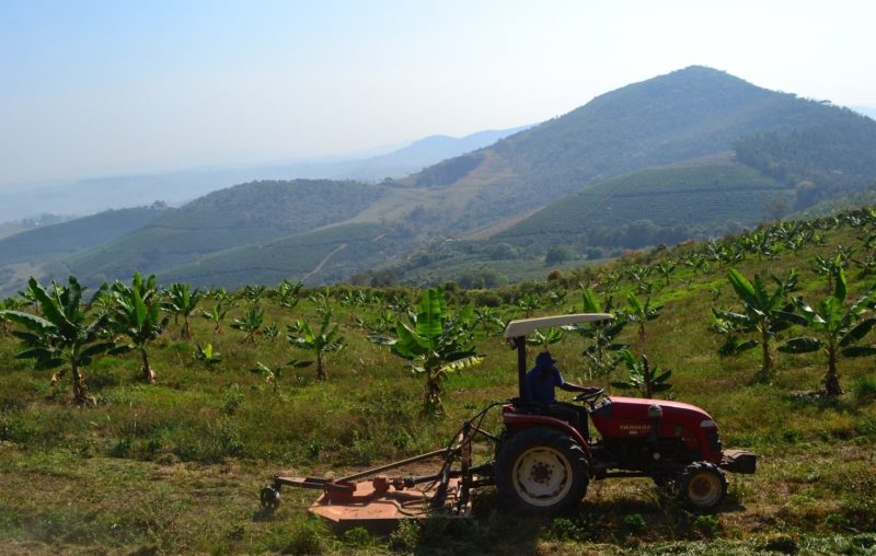 Agricultura Regenerativa