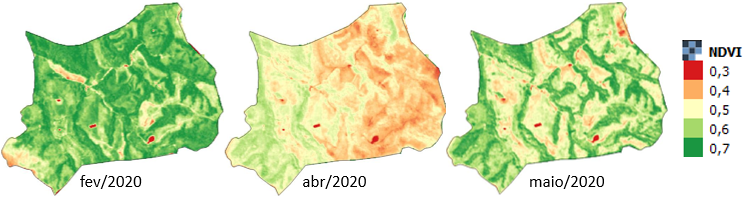 Imagens NDVI na agricultura