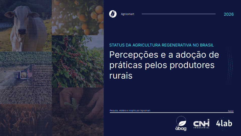 Preview da Pesquisa Nacional