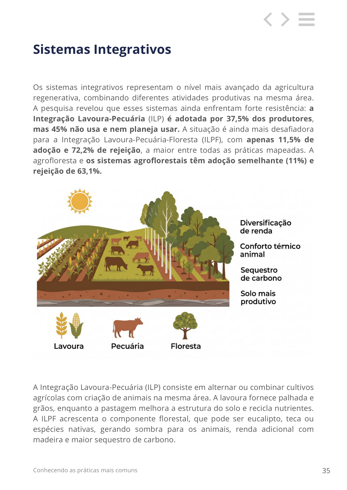 Sistemas integrativos de agricultura regenerativa: ILPF com apenas 11,5% de adoção no Brasil