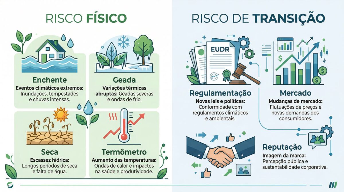 Diagrama dos dois tipos de risco climático no agronegócio: risco físico e risco de transição.
