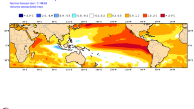 Previsão probabilística ENOS El Niño 2026 - Fonte NOAA
