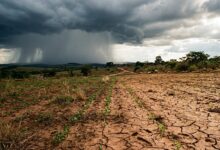 El Niño 2026: cerrado brasileiro com nuvens de chuva de um lado e solo seco e rachado do outro