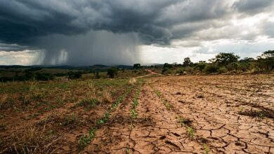 El Niño 2026: cerrado brasileiro com nuvens de chuva de um lado e solo seco e rachado do outro
